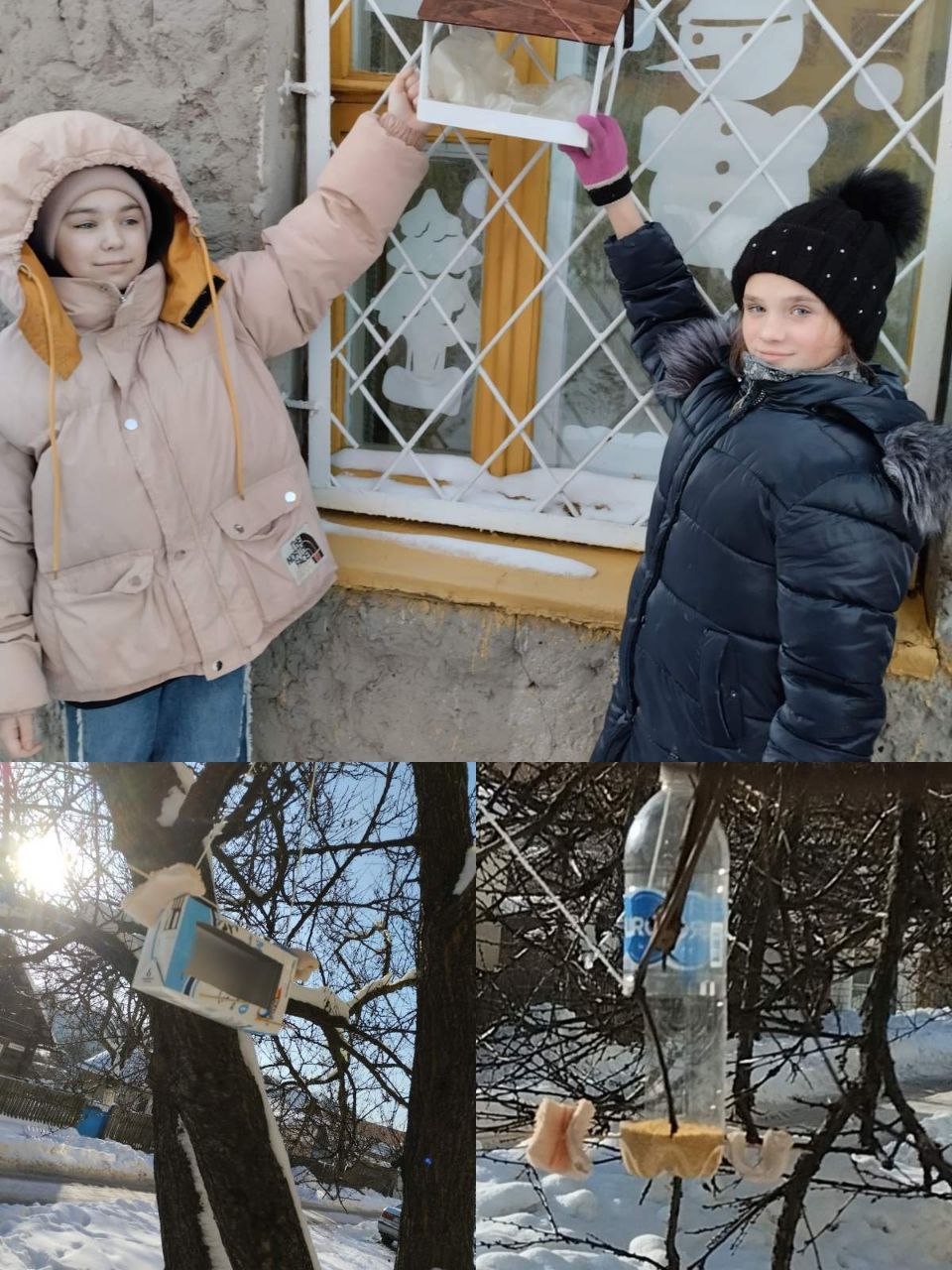 Акция Помоги зимующим птицам