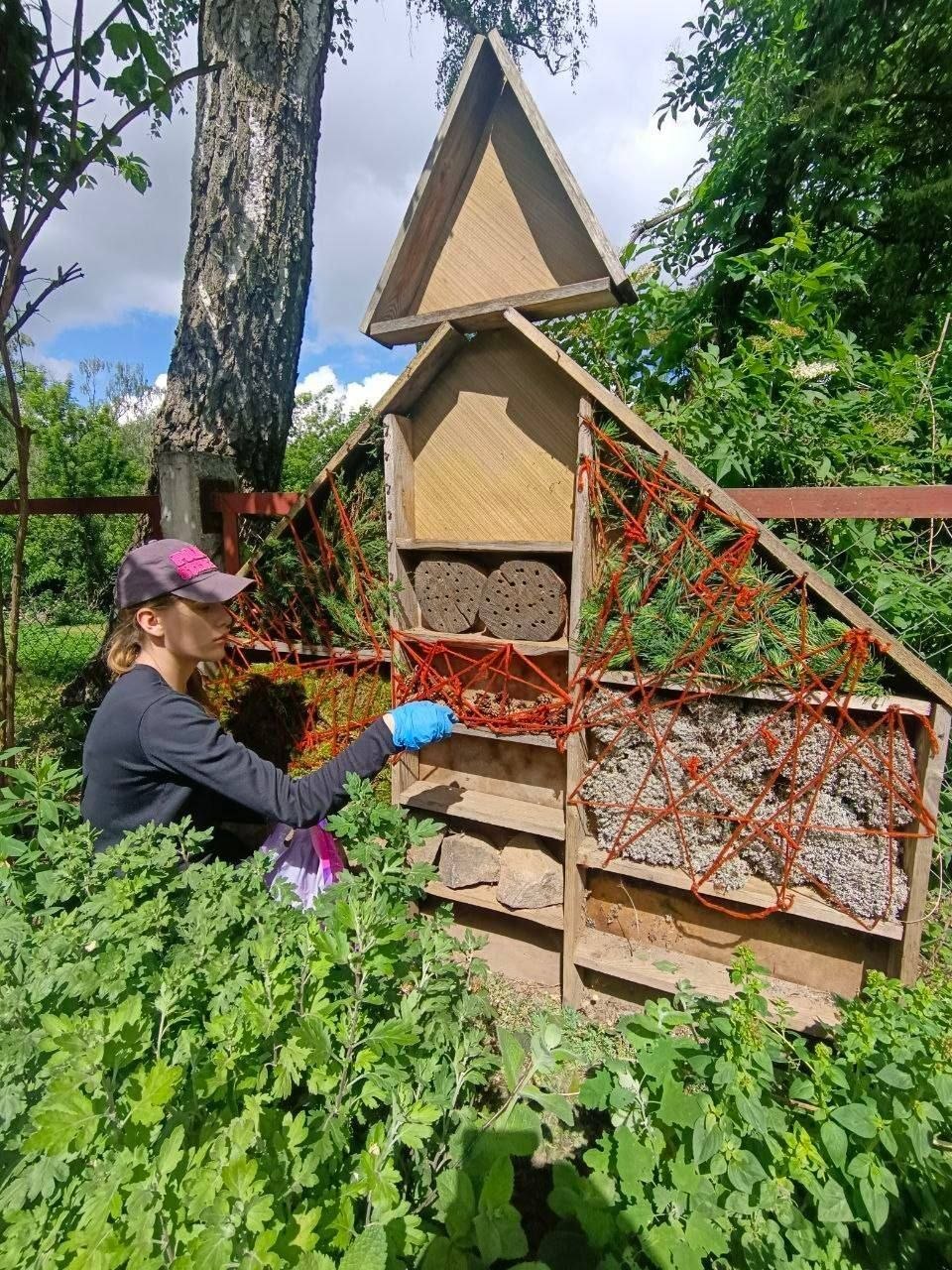 Летняя трудовая практика