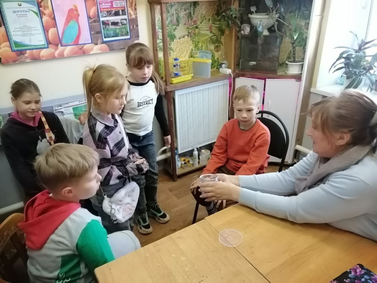 Встреча с мексиканским мраморным тараканом!
